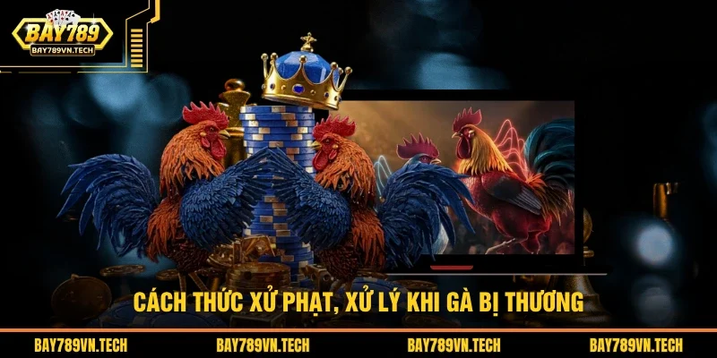 Cách thức xử phạt, xử lý khi gà bị thương
