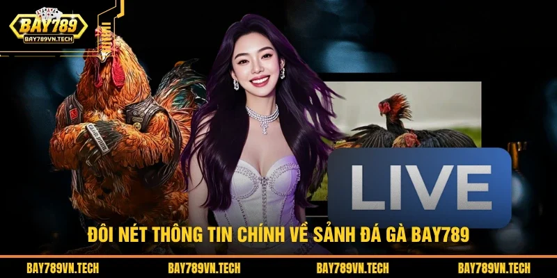 Đôi nét thông tin chính về sảnh đá gà BAY789