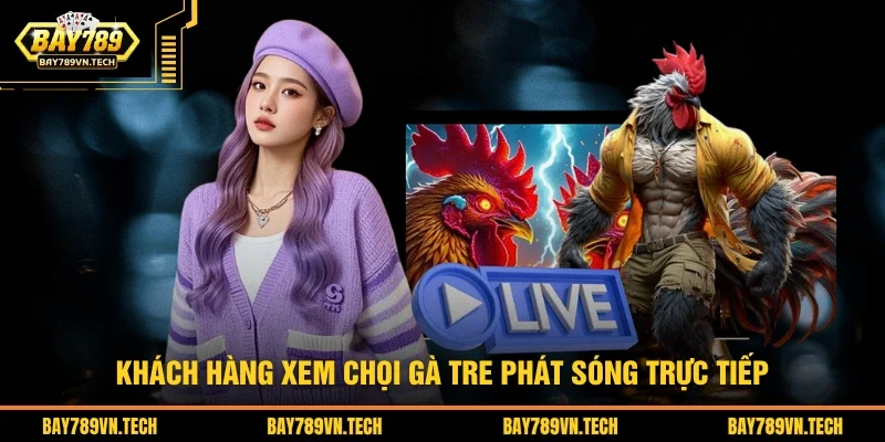 Khách hàng xem chọi gà tre phát sóng trực tiếp