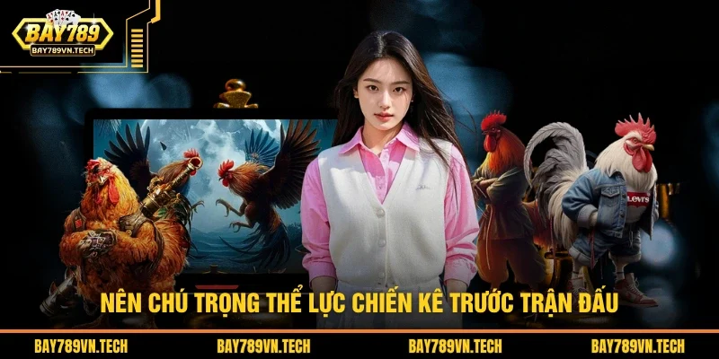 Nên chú trọng thể lực chiến kê trước trận đấu