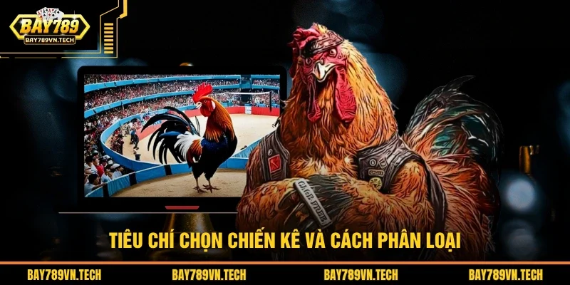 Tiêu chí chọn chiến kê và cách phân loại