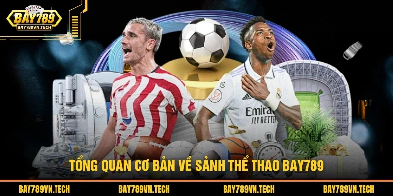 Tổng quan cơ bản về sảnh thể thao BAY789