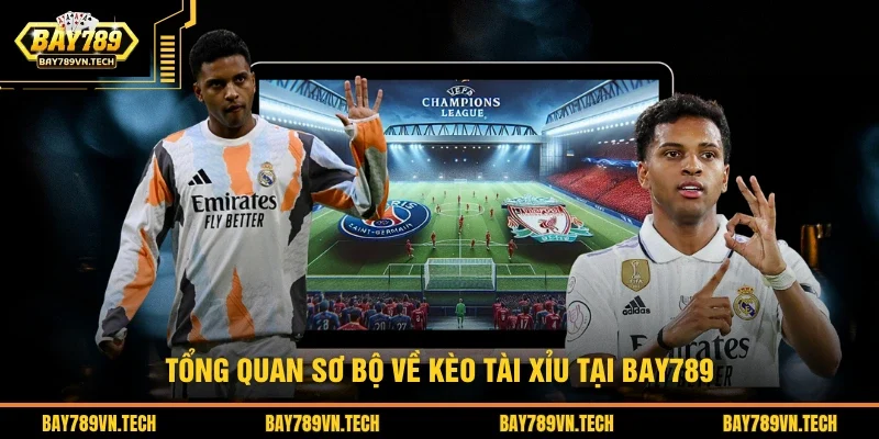 Tổng quan sơ bộ về kèo tài xỉu tại BAY789